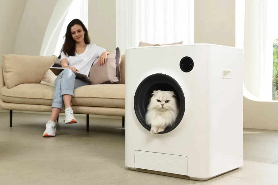 litterbox for cat